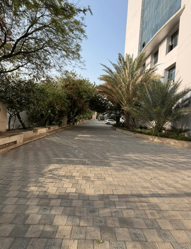 SGVU Student Life Activity photo 76